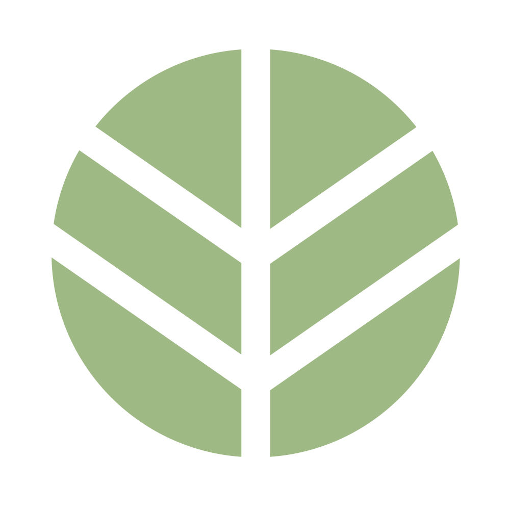 Elements_graphiques_presduchateau_vert